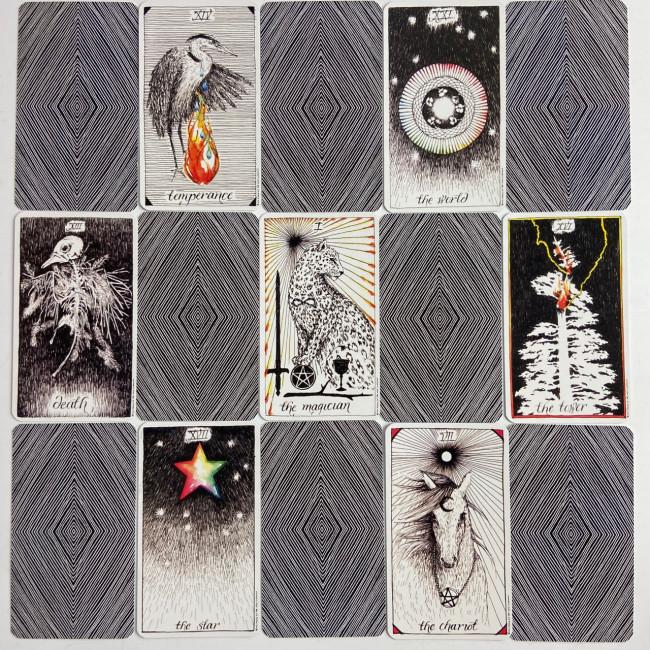 Карты Таро - Дикое неизвестное, The Wild Unknown Tarot