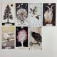 Карты Таро - Дикое неизвестное, The Wild Unknown Tarot