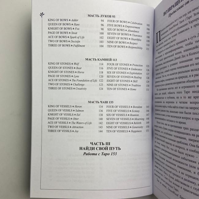 Подарунковий набір таро - Дикого лісу, книга + карти