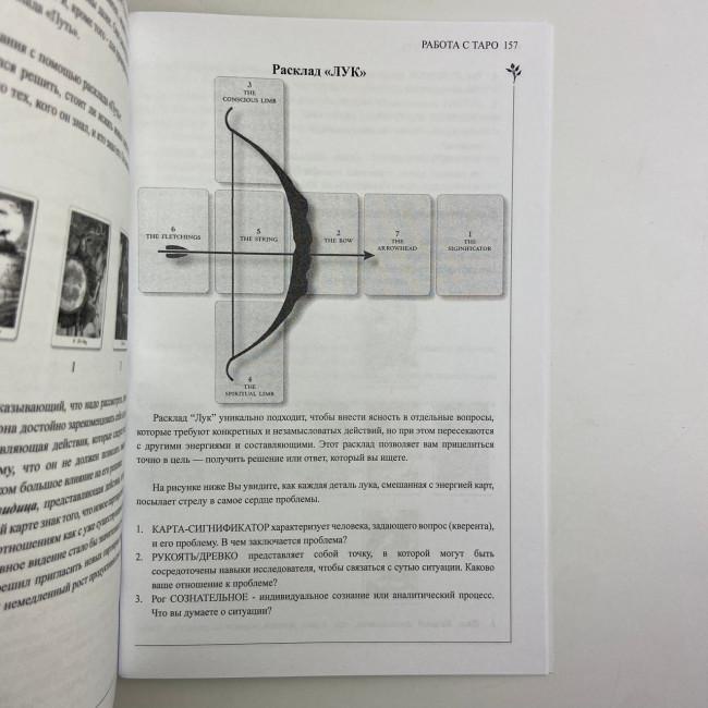 Подарунковий набір таро - Дикого лісу, книга + карти