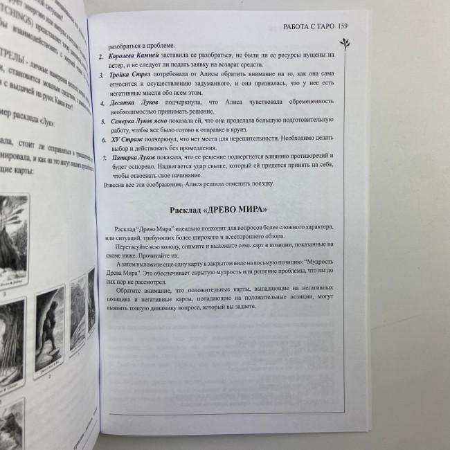 Подарунковий набір таро - Дикого лісу, книга + карти