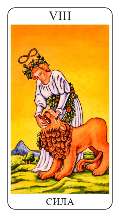 VIII Сила